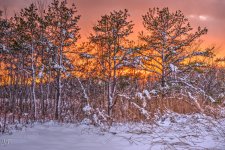 D610#2 Blackpoint-Snow HD13b.jpg