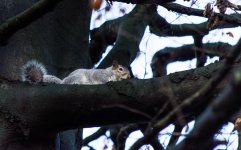 DSC_3955.jpg