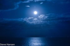 DSC_4036-1-0.jpg