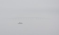 Fogged -1.jpg