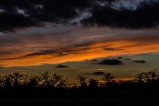 DSC_4101.jpg