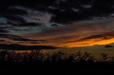 DSC_4104.jpg