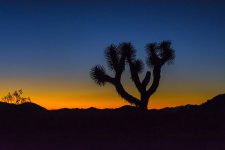 Desert (2).jpg