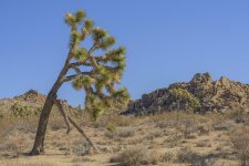 Desert 3 Redux.jpg