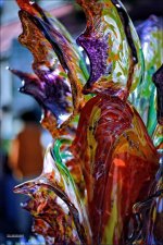 Delray   6_2746.jpg