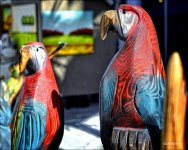 Delray   25_2765.jpg