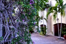 Delray   29_2769.jpg