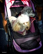 Delray   30_2770.jpg