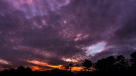 DSC_3252-Edit-2.jpg