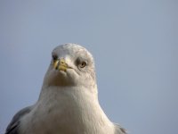 DSCN9910.jpg