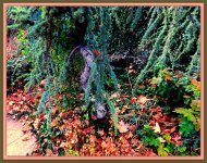 Autumn Colors 12-01-2014.jpg
