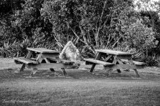 Park Benches BW.jpg