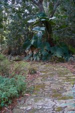 DSC00230DSC00230.jpg
