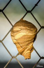 banbung-morning-shots-5.jpg