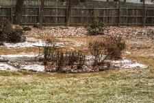 141202__DSC3839_1024.jpg