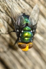 NEW_3729_webshot.jpg