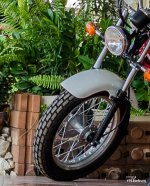 bikes-crop-1.jpg