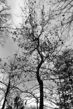 DSC_3288-Edit.jpg