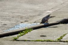 morning-shots-4.jpg