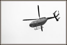 _6001797.jpg