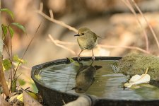 NEW_3792_webshot.jpg