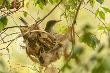 NEW_3785_webshot.jpg NEW_3785_webshot.jpg