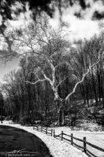 20141201-D75_1879-Edit.jpg