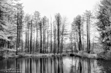 20141203-IR1_0337-Edit.jpg
