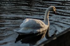 DSC_4153.jpg