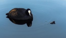 DSC_4190.jpg