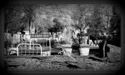 Flower Bed B&W.jpg