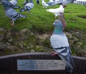 DSC_0164.jpg