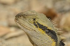NEW_3816_webshot.jpg