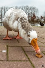DSC_0491-Edit.jpg