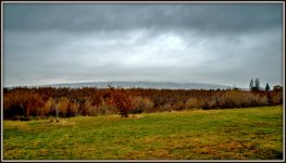 DSC_0654.jpg