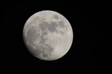 p70734377-5.jpg