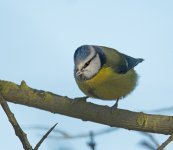 DSC_1211.jpg