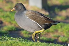 DSC_1157.jpg