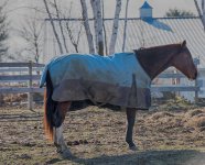D810#3 Kettle Cove & Horse #6 HD3.jpg