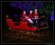 DSC_2183.jpg