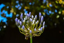 DSC_6670.jpg