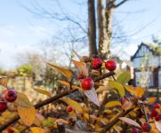 DSC_0213.jpg
