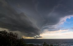 DSC_3856.jpg