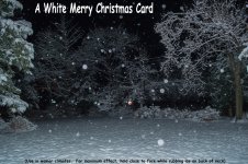 DSC_1000.jpg