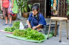 herbs-1.jpg