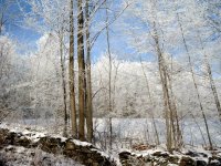 Hoarfrost12.jpg