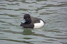 DSC_0251.jpg