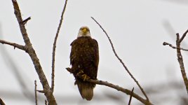 DSC_6718.jpg