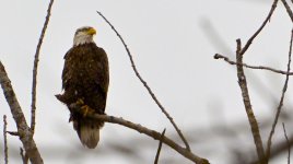 DSC_6716.jpg
