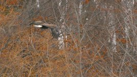 DSC_6722.jpg